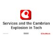 Services and the Cambrian Explosion in Tech