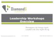 Diamond6 Workshop Overview 2010