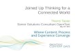 Thierry Tastet - Joined-up Thinking For A Connected World