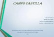 Campo castilla