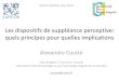 3 - Les dispositifs de suppléance perceptive : quels principes pour quelles implications ? par Alexandre Coutté - WUD2014 Use-Age