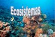 Ecosistemas 04