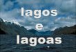 Lagos lagoas