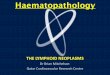 Haematopathology: an introduction to  lymphoid neoplasms