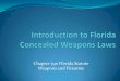 Basic introduction to florida concealed weapons laws