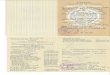Natalie Lewes Secondary School Certificate Kazan Russia 1994
