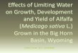 Effects of limiting water on growth, development and yield of alfalfa grown in the Big Horn Basin, Wyoming