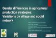 Gender differences in agricultural production strategies: Variations by village and social network