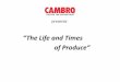 Cambro Food Storage: Life and Times of Produce