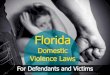 Florida Domestic Violence Laws