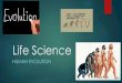 Life science   evolution