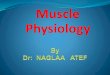 Physiology (Muscle)