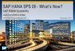 SAP HANA SPS09 - SAP HANA Scalability