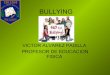 Presentacion bullying