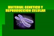 Material genetico y reprod celular 2º