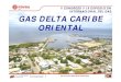 Proyecto Gas Delta Caribe Oriental