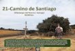 21 Camino de Santiago (Villadangos del Paramo - Astorga) 28,500 km