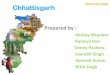 Chhattisgarh State by Akshay SIkarwar