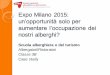 SSAT - Expo Milano 2015 - Strategie per gli albergatori ticinesi
