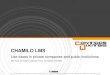 Chamilo LMS use cases in private and public companies