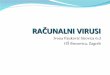 Paukovic i-racunalni-virusi