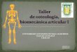 Aanatoimiaa Osteologia