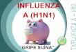 Influenza A H1 N1 2009
