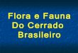 Flora e fauna do cerrado brasileiro