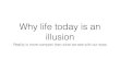 Why life today is based on an Illusion - How to see true Reality