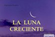 Gianfranco rondon la luna creciente-10240