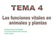 Cono 4º tema 4  las funciones vitales en animales  y plantas