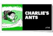 Charlies Ants