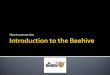 Introduction to the Beehive