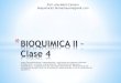 Bioquimica II - Clase 4