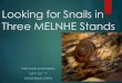 Shoestring2014 4-snails