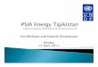 Energy sector in Tajikistan - Poverty and Social Impact Assessment (PSIA)