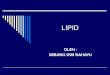materi biokimia LIPID