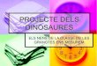 Projecte Dels Dinosaures