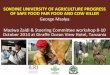 Sokoine University of Agriculture progress on safe food fair food and cow killer projects