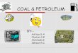 Coal & petroleum aditya