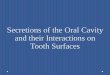 Secretions of the Oral Cavity and their Interactions on Tooth Surfaces