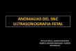 Anomalias del SNC Fetal. Ultrasonografia