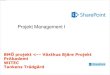 1. projekt management
