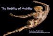 Upright mobility