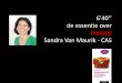 De essentie van huisstijl - Sandra Van Maurik