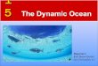 The dynamic ocean by Jan Co