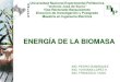 Energia de la Biomasa en Venezuela