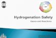 Hydrogenation Safety - Gases and Reactions