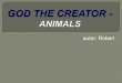 GOD THE CREATOR - Animals