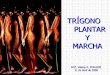 2008 Trigono Y Marcha